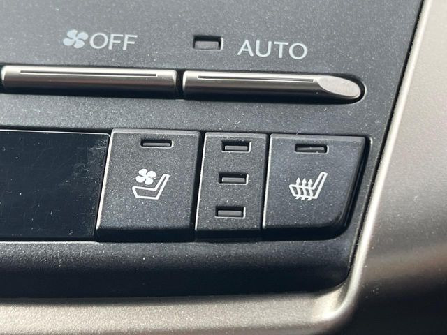 �y�V�[�g�x���`���[�V�����z�ď�͗��������ł��K��w���̔M�⃀����h���A�~�̓G�A�R�������������܂��ă|�J�|�J��!�G�߂��킸���K�ɉ߂����܂��B