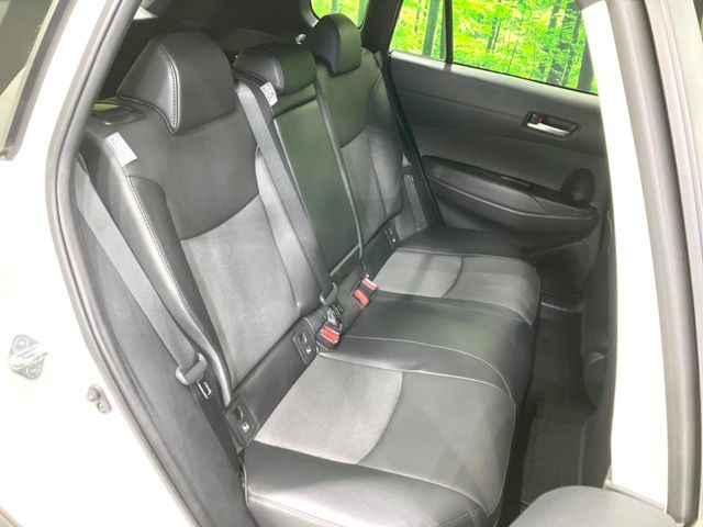 �㕔���Ȃ��C�ɂȂ�悤�ȃL�Y�E�����ւ��蓙�A�傫�ȃ_���[�W�͂Ȃ��A�ǍD�ȏ�Ԃł��B