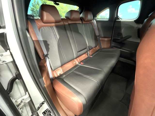 �㕔���Ȃ��C�ɂȂ�悤�ȃL�Y�E�����ւ��蓙�A�傫�ȃ_���[�W�͂Ȃ��A�ǍD�ȏ�Ԃł��B