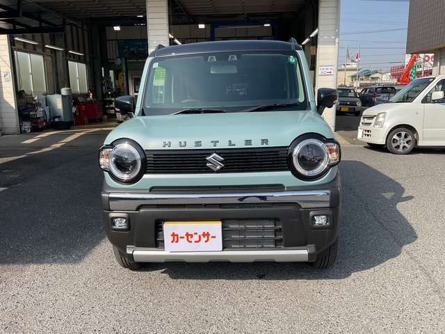 ハスラータフワイルド