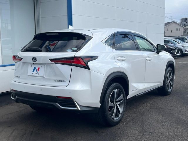 ���S���̃l�N�X�e�[�W���炨���񂹂��\��!�����̓X�܂ɓW�����Ă���N���}���C�ɂȂ�ꍇ���A�Ŋ��̓X�܂ł��������������Ƃ��\�ł�!���񎄂����ɗv�]������������������!���ʓr��p