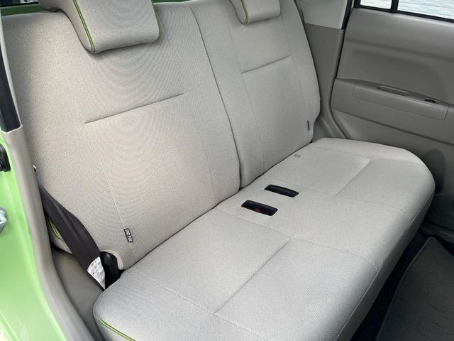 �㕔���Ȃ��C�ɂȂ�悤�ȃL�Y�E�����ւ��蓙�A�傫�ȃ_���[�W�͂Ȃ��A�ǍD�ȏ�Ԃł��B