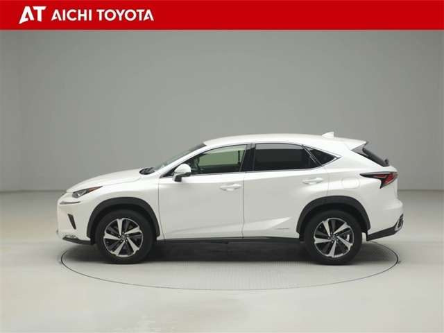 NX300h バージョンL