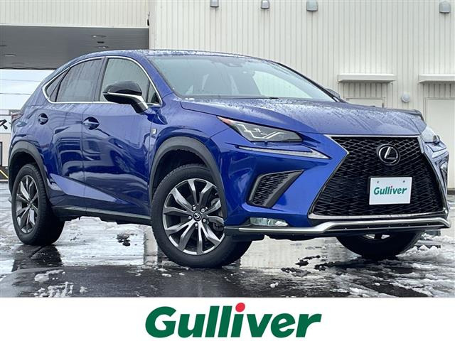 NX300 Fスポーツ 4WD