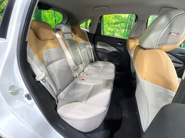 �㕔���Ȃ��C�ɂȂ�悤�ȃL�Y�E�����ւ��蓙�A�傫�ȃ_���[�W�͂Ȃ��A�ǍD�ȏ�Ԃł��B