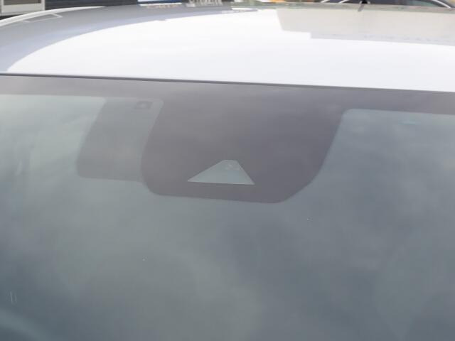 ���S�������������Ă���܂��B