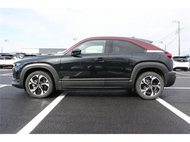 ���Ǝҗl�ւ̔̔��͂��f�肳���Ă��������܂��B �Ԍ������ԗ��̏ꍇ�́A�Ԍ����擾�������x�������z�ŕ\�����Ă���܂��B