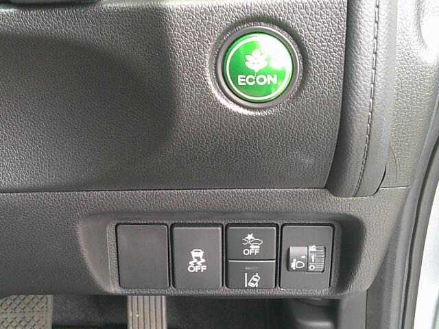 �b��̃z���_�Z���V���O���ځB���S�^�]�̋��������ł���(�z���_)