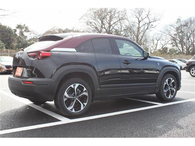 ���Ǝҗl�ւ̔̔��͂��f�肳���Ă��������܂��B �Ԍ������ԗ��̏ꍇ�́A�Ԍ����擾�������x�������z�ŕ\�����Ă���܂��B