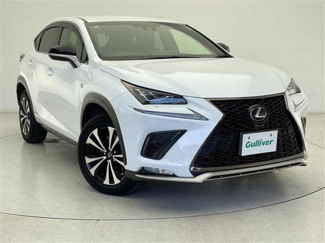 NX300h Fスポーツ