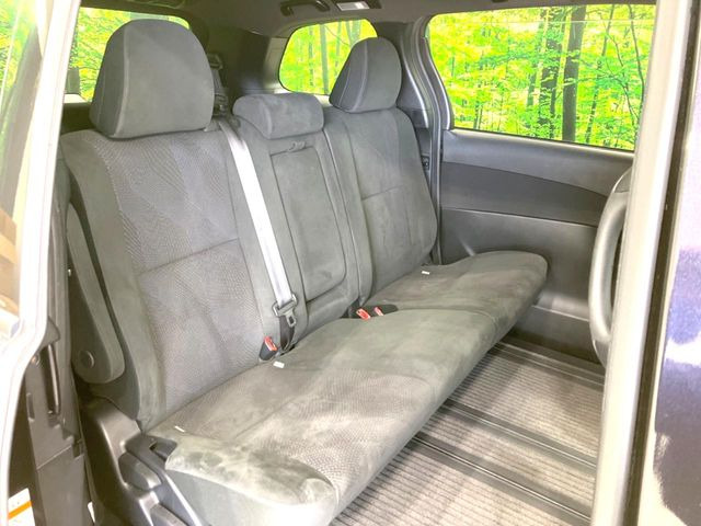 �㕔���Ȃ��C�ɂȂ�悤�ȃL�Y�E�����ւ��蓙�A�傫�ȃ_���[�W�͂Ȃ��A�ǍD�ȏ�Ԃł��B