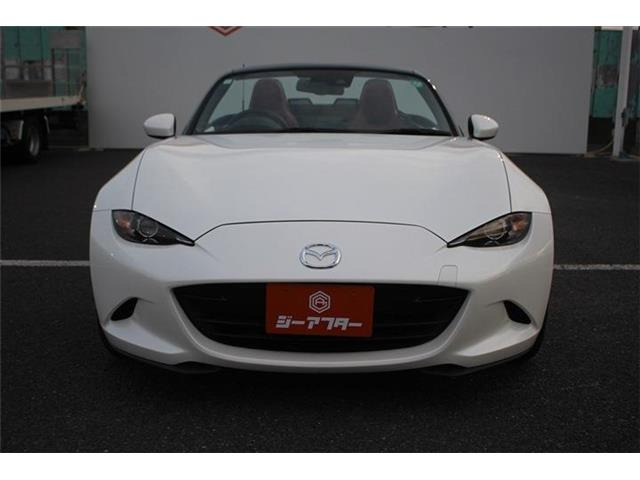 ���Ǝҗl�ւ̔̔��͂��f�肳���Ă��������܂��B �Ԍ������ԗ��̏ꍇ�́A�Ԍ����擾�������x�������z�ŕ\�����Ă���܂��B