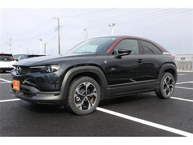 ���Ǝҗl�ւ̔̔��͂��f�肳���Ă��������܂��B �Ԍ������ԗ��̏ꍇ�́A�Ԍ����擾�������x�������z�ŕ\�����Ă���܂��B