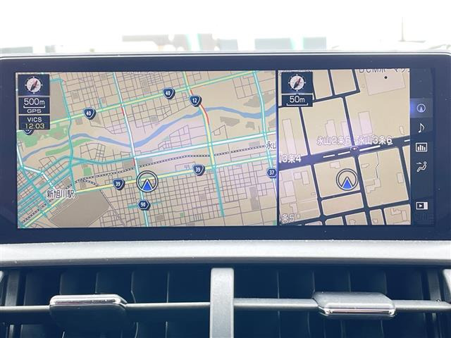 NX300 Fスポーツ 4WD