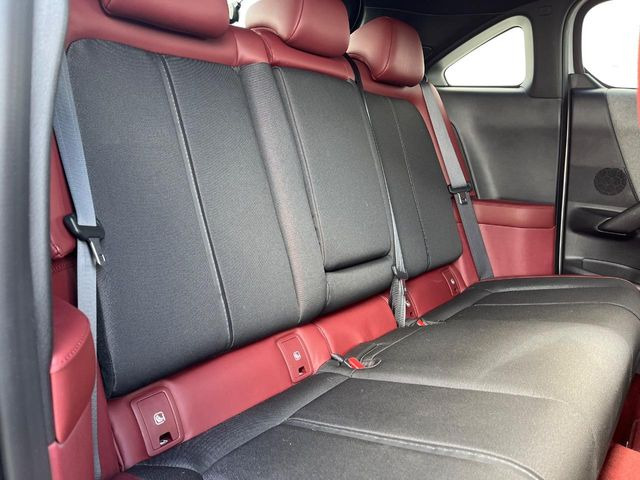 �㕔���Ȃ��C�ɂȂ�悤�ȃL�Y�E�����ւ��蓙�A�傫�ȃ_���[�W�͂Ȃ��A�ǍD�ȏ�Ԃł��B