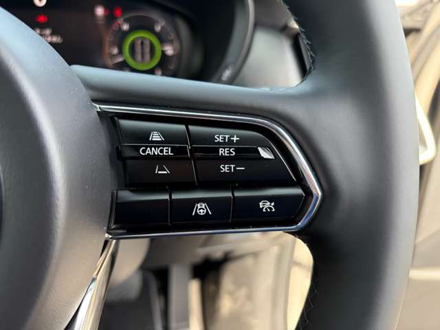 クルーズコントロールが付いてます!!