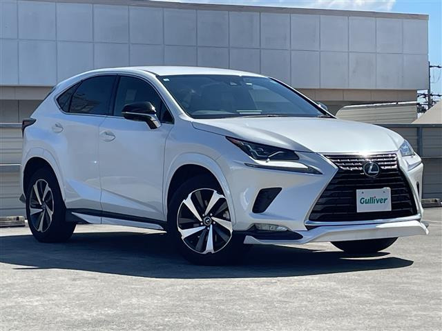 NX300 スパイス&amp;シック