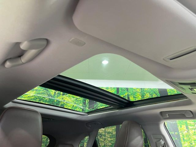 �y�T�����[�t�z�J���������Ղ�̊󏭑����A�T�����[�t����������Ă��܂�!�ԓ��ɖ�����������ꂽ��i�F���y���ވȊO�ɂ��A�ԓ��̋�C���ȒP�Ɋ��C�ł��ĉ��K�ł�!