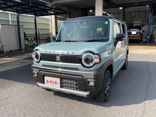 ハスラータフワイルド