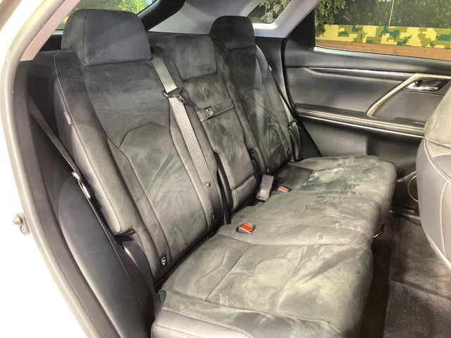 �㕔���Ȃ��C�ɂȂ�悤�ȃL�Y�E�����ւ��蓙�A�傫�ȃ_���[�W�͂Ȃ��A�ǍD�ȏ�Ԃł��B