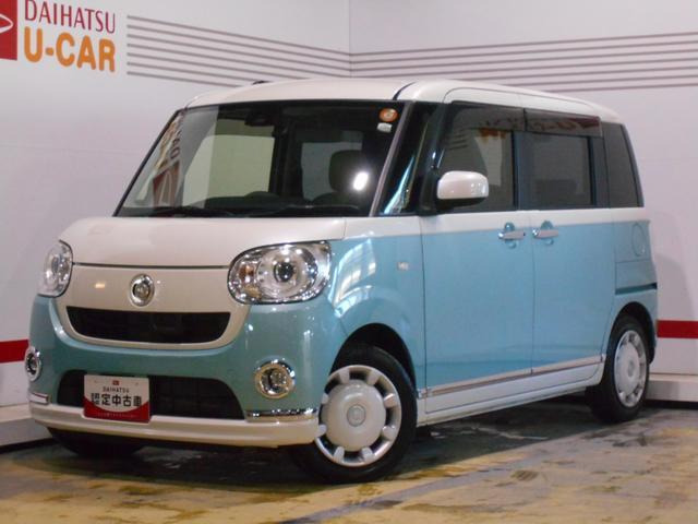 ムーヴキャンバスG メイクアップ SAII