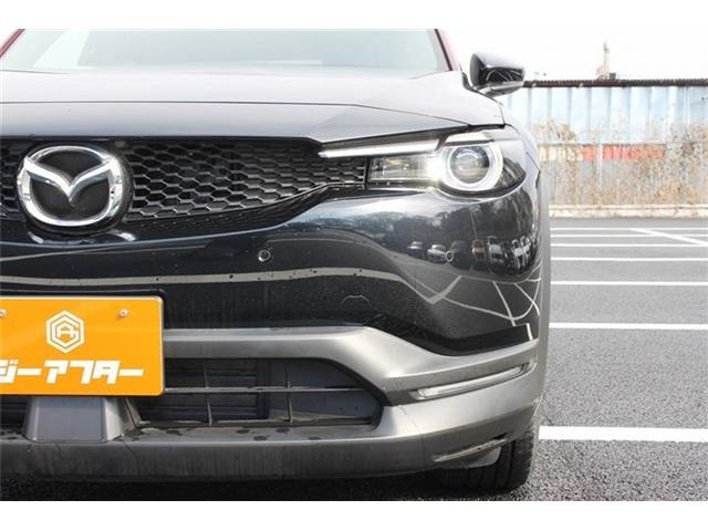 ���Ǝҗl�ւ̔̔��͂��f�肳���Ă��������܂��B �Ԍ������ԗ��̏ꍇ�́A�Ԍ����擾�������x�������z�ŕ\�����Ă���܂��B