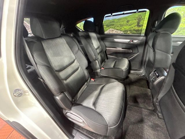 �㕔���Ȃ��C�ɂȂ�悤�ȃL�Y�E�����ւ��蓙�A�傫�ȃ_���[�W�͂Ȃ��A�ǍD�ȏ�Ԃł��B