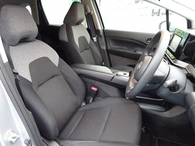 �^�]�Ȃ��傫�ȎC����Ȃ���ԗǍD�ł��B