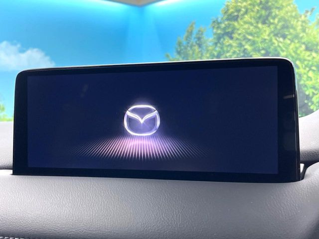 �y10.25�C���`�}�c�_�R�l�N�g�z�ԓ��̕��͋C�Ƀ}�b�`������^�f�B�X�v���C�B�X�}�z�ڑ��ł̃i�r�g�p��Bluetooth�Đ����A�l�X�ȋ@�\���y���߂܂��B�����I�ȃ_�C�������삪�\�ŁA�g��������ǍD�ł��B