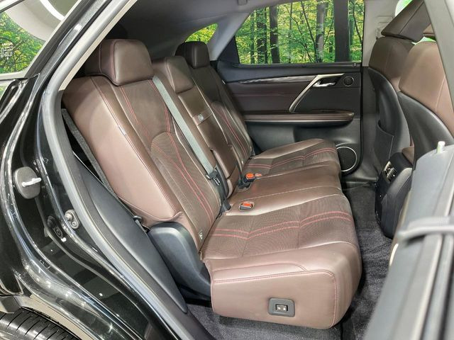 �㕔���Ȃ��C�ɂȂ�悤�ȃL�Y�E�����ւ��蓙�A�傫�ȃ_���[�W�͂Ȃ��A�ǍD�ȏ�Ԃł��B