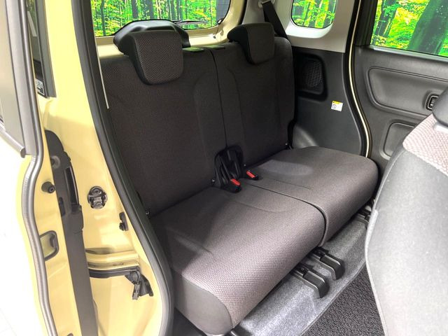 �㕔���Ȃ��C�ɂȂ�悤�ȃL�Y�E�����ւ��蓙�A�傫�ȃ_���[�W�͂Ȃ��A�ǍD�ȏ�Ԃł��B