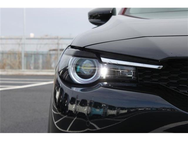 ���Ǝҗl�ւ̔̔��͂��f�肳���Ă��������܂��B �Ԍ������ԗ��̏ꍇ�́A�Ԍ����擾�������x�������z�ŕ\�����Ă���܂��B