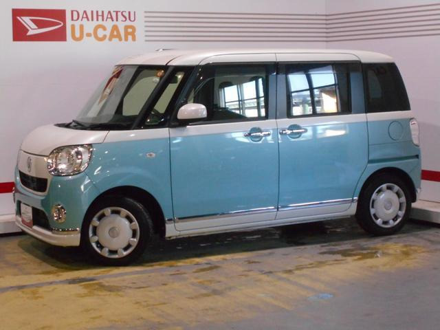 ムーヴキャンバスG メイクアップ SAII