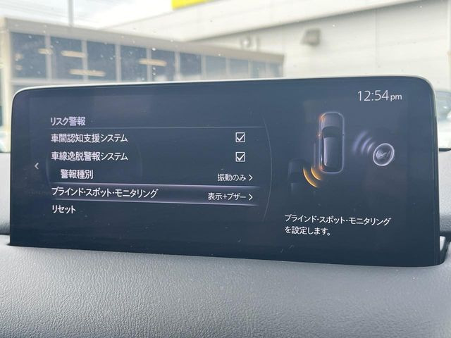 �y�u���C���h�X�|�b�g���j�^�����O�z���s���A�h�A�~���[�̎��p�ɂȂ�₷���ӏ��Ɍ㑱�Ԃ��ڋ߂���ƃT�C�h�~���[�t�߂Ɍx����\���A�h���C�o�[�ɒ��ӊ��N�����Ă���܂��B