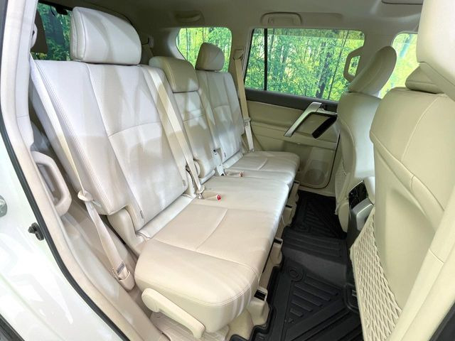 �㕔���Ȃ��C�ɂȂ�悤�ȃL�Y�E�����ւ��蓙�A�傫�ȃ_���[�W�͂Ȃ��A�ǍD�ȏ�Ԃł��B