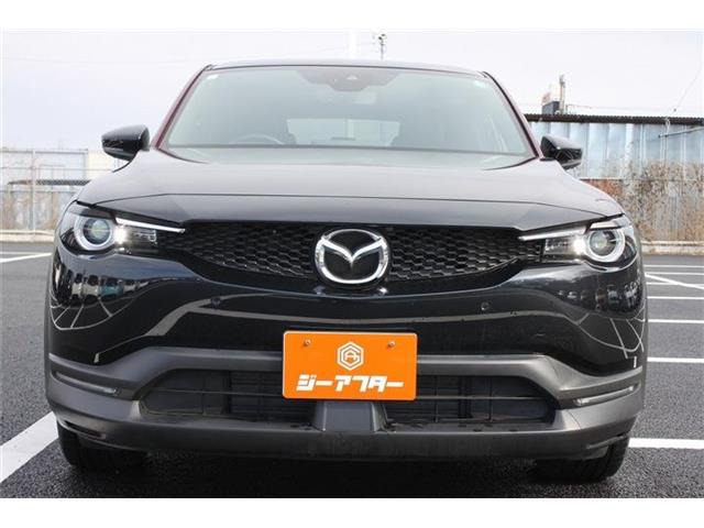 ���Ǝҗl�ւ̔̔��͂��f�肳���Ă��������܂��B �Ԍ������ԗ��̏ꍇ�́A�Ԍ����擾�������x�������z�ŕ\�����Ă���܂��B