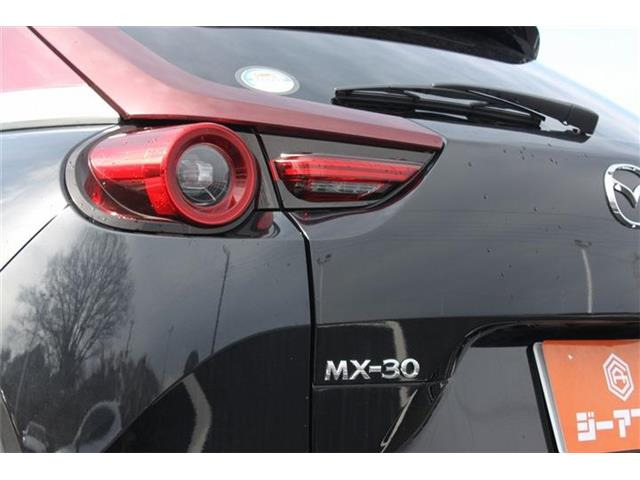 ���Ǝҗl�ւ̔̔��͂��f�肳���Ă��������܂��B �Ԍ������ԗ��̏ꍇ�́A�Ԍ����擾�������x�������z�ŕ\�����Ă���܂��B