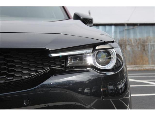 ���Ǝҗl�ւ̔̔��͂��f�肳���Ă��������܂��B �Ԍ������ԗ��̏ꍇ�́A�Ԍ����擾�������x�������z�ŕ\�����Ă���܂��B