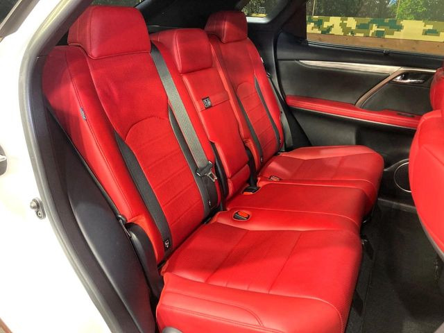 �㕔���Ȃ��C�ɂȂ�悤�ȃL�Y�E�����ւ��蓙�A�傫�ȃ_���[�W�͂Ȃ��A�ǍD�ȏ�Ԃł��B