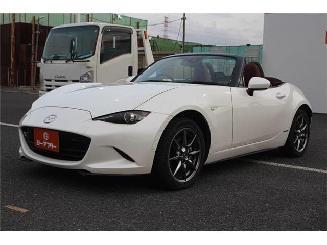 ���Ǝҗl�ւ̔̔��͂��f�肳���Ă��������܂��B �Ԍ������ԗ��̏ꍇ�́A�Ԍ����擾�������x�������z�ŕ\�����Ă���܂��B