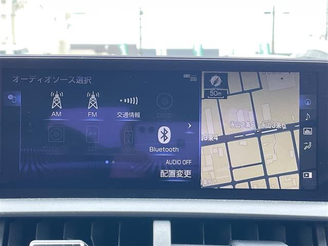 NX300 Fスポーツ 4WD