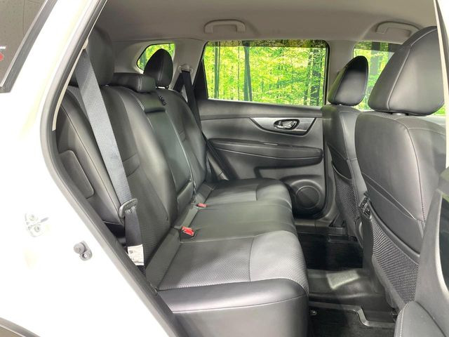 �㕔���Ȃ��C�ɂȂ�悤�ȃL�Y�E�����ւ��蓙�A�傫�ȃ_���[�W�͂Ȃ��A�ǍD�ȏ�Ԃł��B