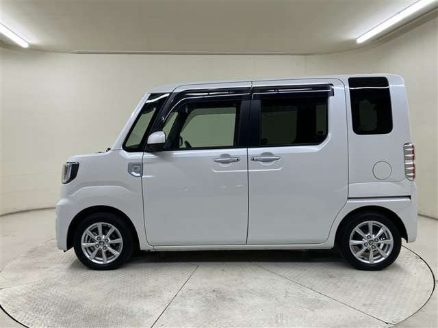 ピクシスメガL SAIII