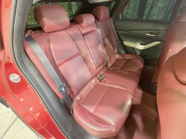 �㕔���Ȃ��C�ɂȂ�悤�ȃL�Y�E�����ւ��蓙�A�傫�ȃ_���[�W�͂Ȃ��A�ǍD�ȏ�Ԃł��B