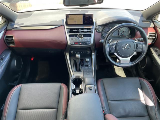 NX300 スパイス&amp;シック