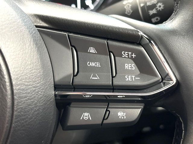 �y�}�c�_�E���[�_�[�N���[�Y�R���g���[���z�������H�ł̒��������s���y��!�����ő��x��ۂN���[�Y�R���g���[�����A�Փˌy���V�X�e���ƘA�g���A�O���̎ԗ������m���ĎԊԂ�ۂ悤�ɑ��x���߂��Ă���܂�!!