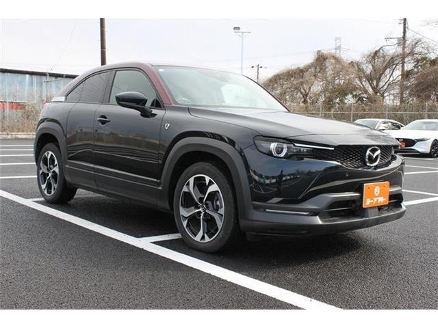 ���Ǝҗl�ւ̔̔��͂��f�肳���Ă��������܂��B �Ԍ������ԗ��̏ꍇ�́A�Ԍ����擾�������x�������z�ŕ\�����Ă���܂��B