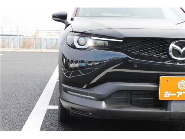 ���Ǝҗl�ւ̔̔��͂��f�肳���Ă��������܂��B �Ԍ������ԗ��̏ꍇ�́A�Ԍ����擾�������x�������z�ŕ\�����Ă���܂��B