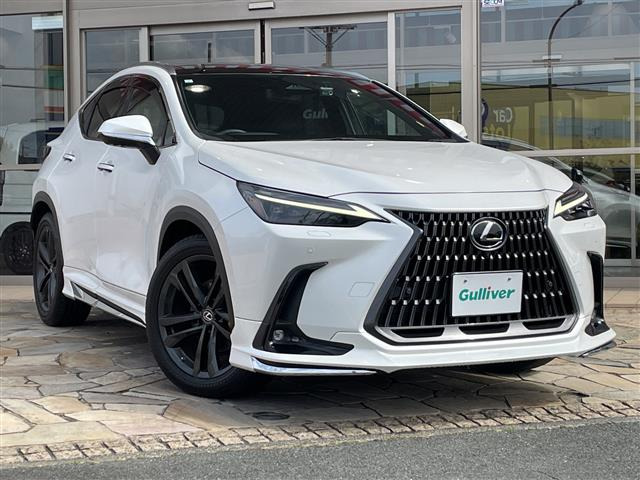 NX250 バージョンL