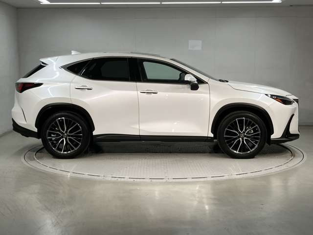 NX250 バージョンL